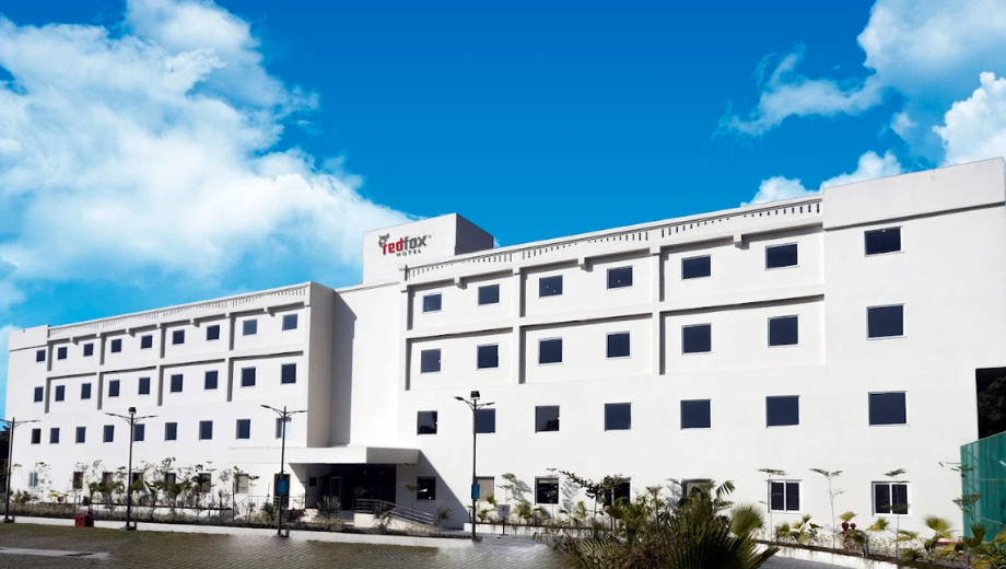 Red fox by lemon tree